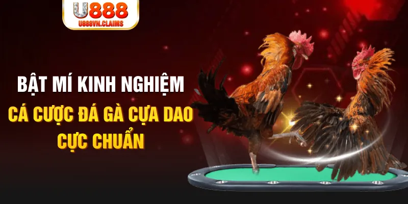 8x bet đá gà trực tiếp 67