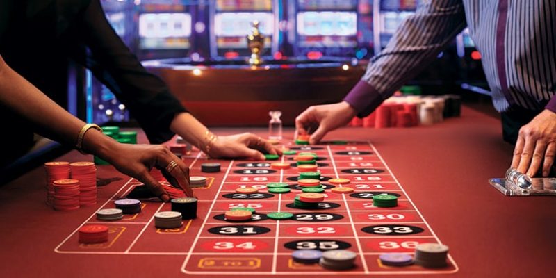 8x bet c1 gà chọi