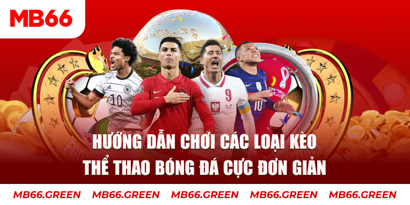 8x bet YB Bắn cá