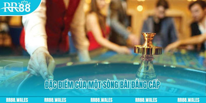 8x bet đá gà thomo