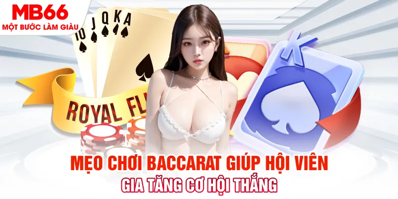 8x bet Xóc Đĩa 2