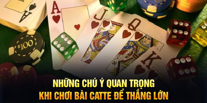 8x bet slot là gì dịch