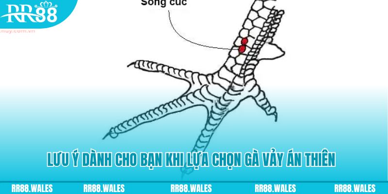 8x bet xổ số miền bắc thứ tư hàng tuần