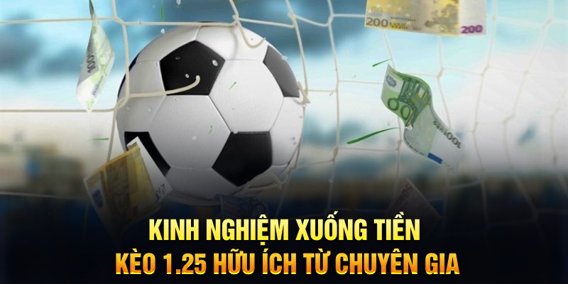 8x bet xổ số trực tiếp hôm nay