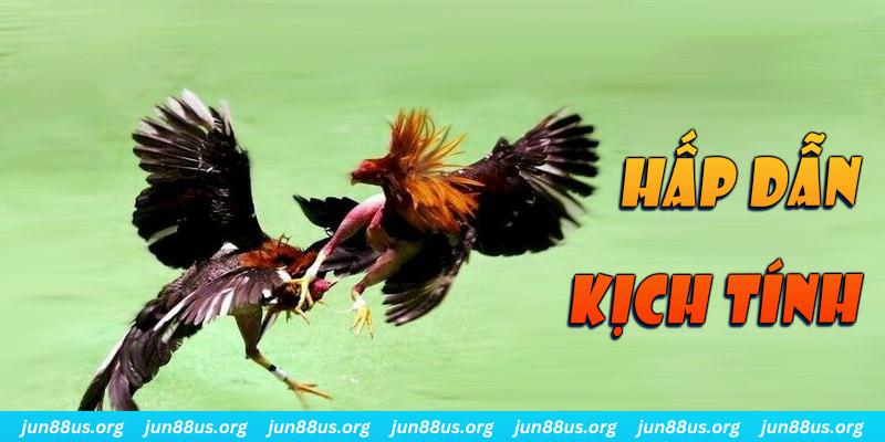 8x bet xổ số 30 ngày