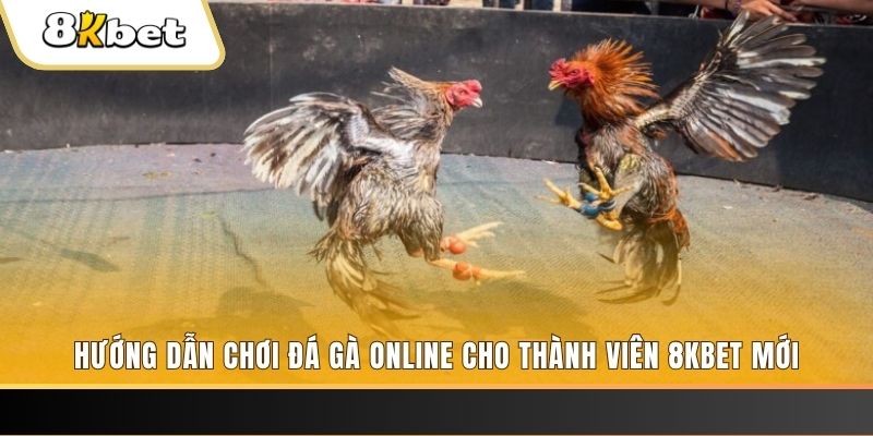 8x bet đăng nhập sòng bạc rút tiền nhanh