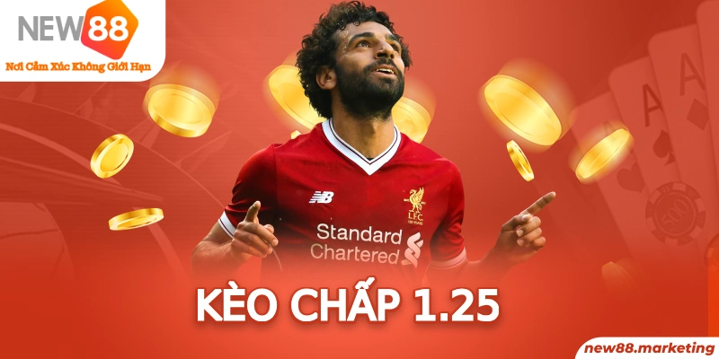 8x bet slot là cái gì