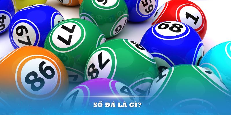 8x bet xổ số kiến thiết miền bắc