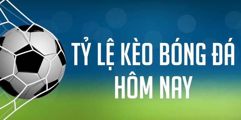 8x bet xổ số thành phố