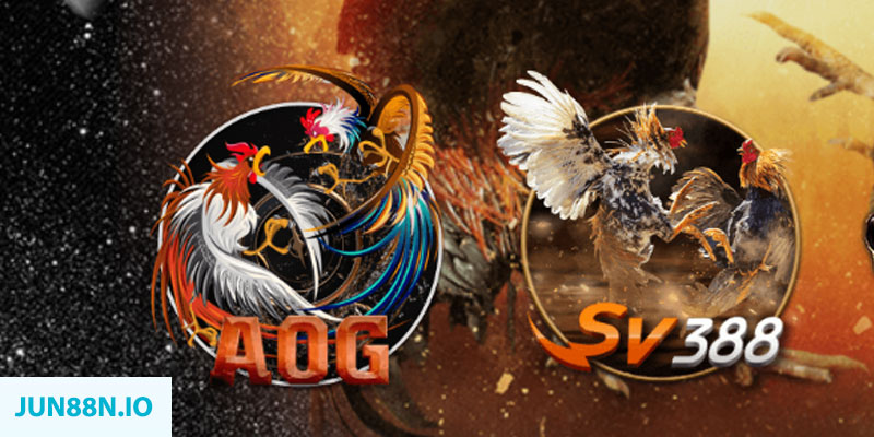 8x bet 789bet có bao nhiêu sảnh game bài 3d ？