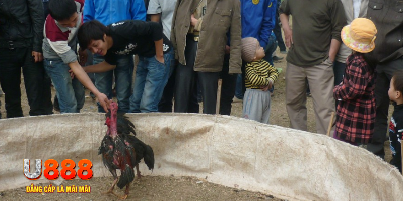 8x bet xổ số bạc liêu