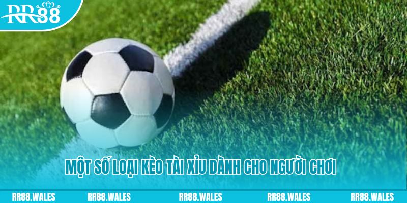 8x bet tt88 bắn cá nổ hũ