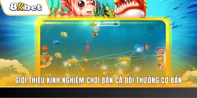 8x bet xổ số miền bắc hôm