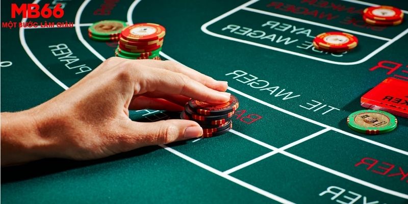 8x bet ÁT CHỦ BÀI GIÀNH LẤY ZHUANG NIUNIU ( XEM 4 LÁ )