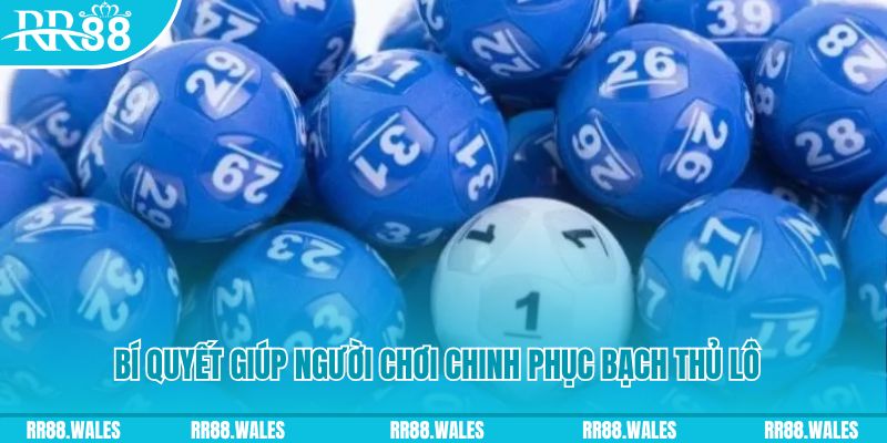 8x bet xổ số bình dương