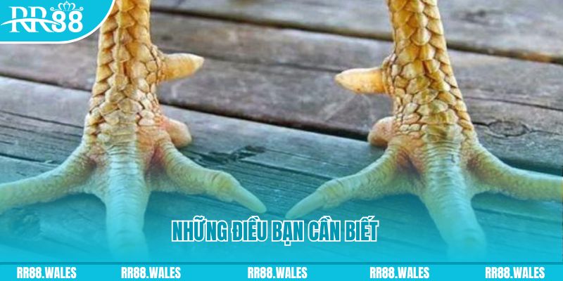 8x bet xổ số bến tre