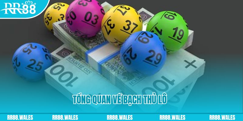 8x bet nổ hủ la gi