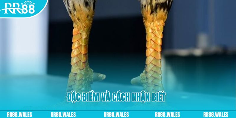 8x bet xổ số miền nam chủ nhật hàng tuần