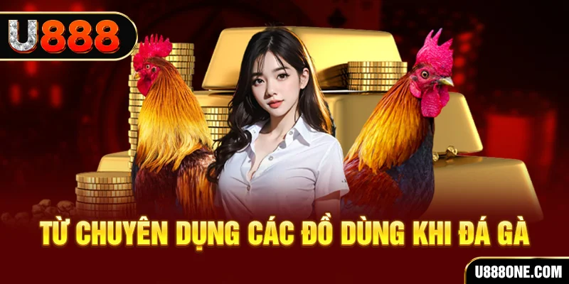 8x bet khi nào 8 bit nổ hũ