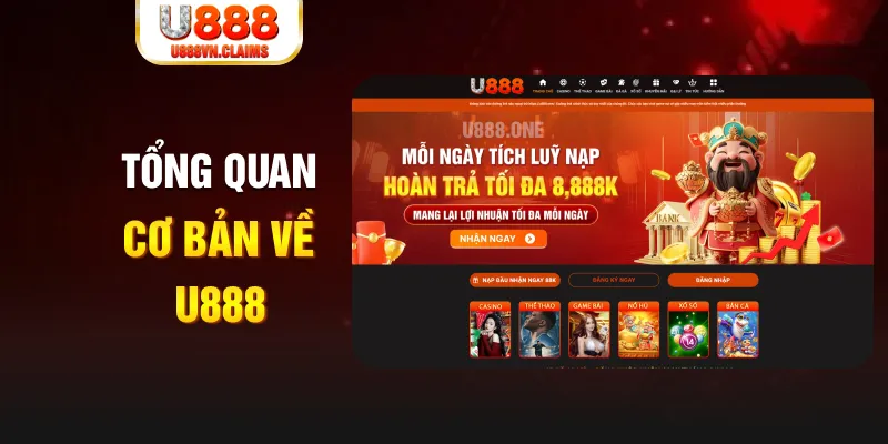 8x bet casino trực tuyến là gì