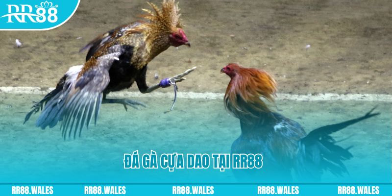 8x bet xổ số thứ năm hàng tuần